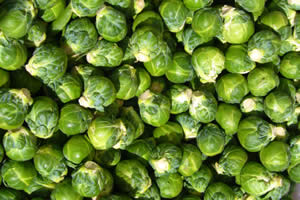export sell Brussel Sprout