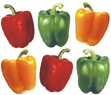 export sell Capsicum