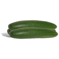 export sell Courgette