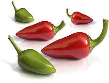 export Hot Peppers chili