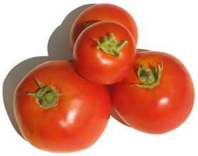 exoprt Tomatoes Beef