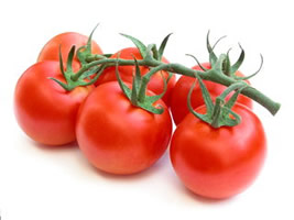 exoprt Tomatoes Bunch