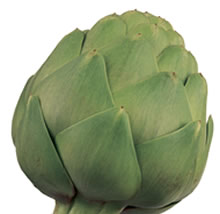export sell Artichoke