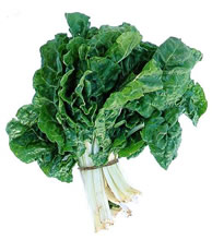 export spinach