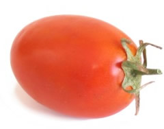 exoprt Tomatoes Roma