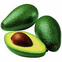 export Avocados 