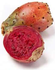 export Cactus Pears