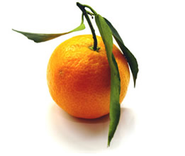 export Clementines 