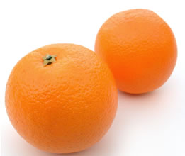 export Oranges