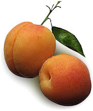 export Peaches