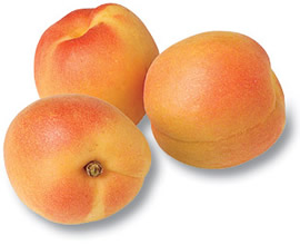 export Apricot