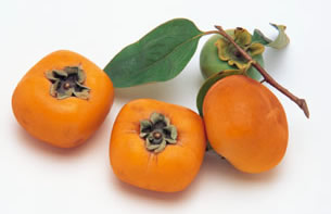 export  kaki 