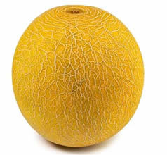 export  Melon