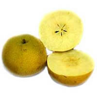 export Pear Nashi